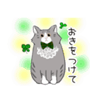 ノルウェージャンっぽい どらくん（個別スタンプ：13）