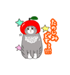ノルウェージャンっぽい どらくん（個別スタンプ：15）