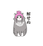 ノルウェージャンっぽい どらくん（個別スタンプ：17）