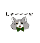 ノルウェージャンっぽい どらくん（個別スタンプ：38）