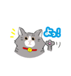 ノルウェージャンっぽい どらくん（個別スタンプ：40）