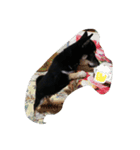 のび（個別スタンプ：5）