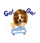 パピヨン日常（個別スタンプ：16）