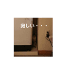 三毛猫ゆずの日常（個別スタンプ：21）