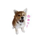 おこげちゃん1（個別スタンプ：4）