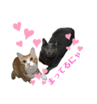 れお♡のあ♡むぎ①（個別スタンプ：5）