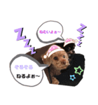 dogdogthree（個別スタンプ：2）