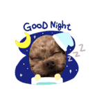dogdogthree（個別スタンプ：3）