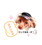 dogdogthree（個別スタンプ：5）