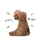 dogdogthree（個別スタンプ：8）