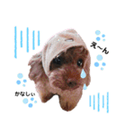 dogdogthree（個別スタンプ：10）