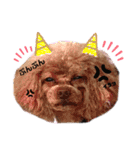 dogdogthree（個別スタンプ：11）