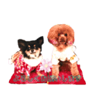 dogdogthree（個別スタンプ：16）