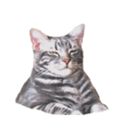 ねこのすぅ様（個別スタンプ：1）