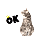 ねこのすぅ様（個別スタンプ：8）