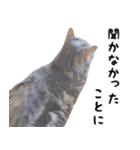 ねこのすぅ様（個別スタンプ：17）