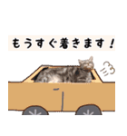 ねこのすぅ様（個別スタンプ：20）