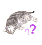 ねこのすぅ様（個別スタンプ：21）