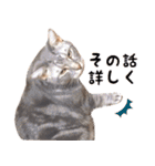 ねこのすぅ様（個別スタンプ：25）