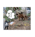 にこいちシスター（個別スタンプ：3）