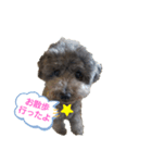 山口さんちのラフくん その2（個別スタンプ：3）