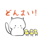 友と歩む しろふわ猫（個別スタンプ：16）