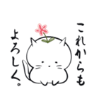 友と歩む しろふわ猫（個別スタンプ：39）