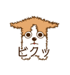 犬（コーギー）のスタンプ（個別スタンプ：5）