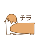 犬（コーギー）のスタンプ（個別スタンプ：7）