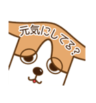 犬（コーギー）のスタンプ（個別スタンプ：10）