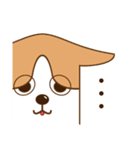 犬（コーギー）のスタンプ（個別スタンプ：13）