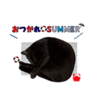 くろねこまろとサバ白はな（個別スタンプ：2）