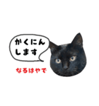 くろねこまろとサバ白はな（個別スタンプ：6）