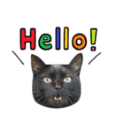 くろねこまろとサバ白はな（個別スタンプ：8）