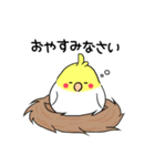 インコのたまちゃん【敬語】（個別スタンプ：4）