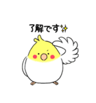 インコのたまちゃん【敬語】（個別スタンプ：9）
