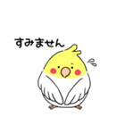 インコのたまちゃん【敬語】（個別スタンプ：11）
