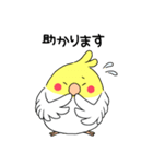 インコのたまちゃん【敬語】（個別スタンプ：15）