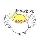 インコのたまちゃん【敬語】（個別スタンプ：16）