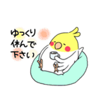 インコのたまちゃん【敬語】（個別スタンプ：19）