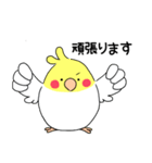 インコのたまちゃん【敬語】（個別スタンプ：21）
