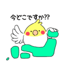 インコのたまちゃん【敬語】（個別スタンプ：29）