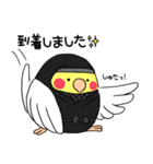 インコのたまちゃん【敬語】（個別スタンプ：31）
