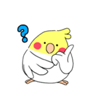 インコのたまちゃん【敬語】（個別スタンプ：36）