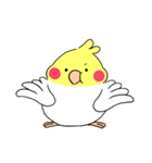 インコのたまちゃん【敬語】（個別スタンプ：38）