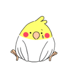 インコのたまちゃん【敬語】（個別スタンプ：39）