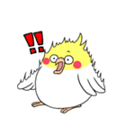 インコのたまちゃん【敬語】（個別スタンプ：40）