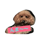 pooh♪の日常（個別スタンプ：5）