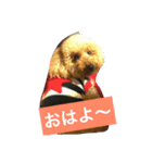pooh♪の日常（個別スタンプ：6）