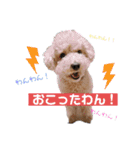 どらみちゃんの日常 vol.1（個別スタンプ：2）